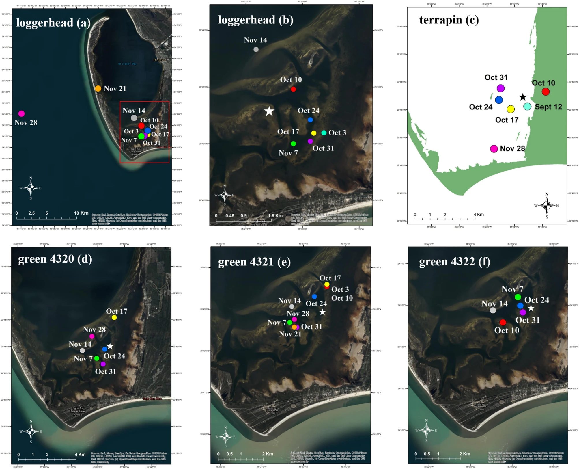 Weekly home range centroids for turtles carrying a satellite tag