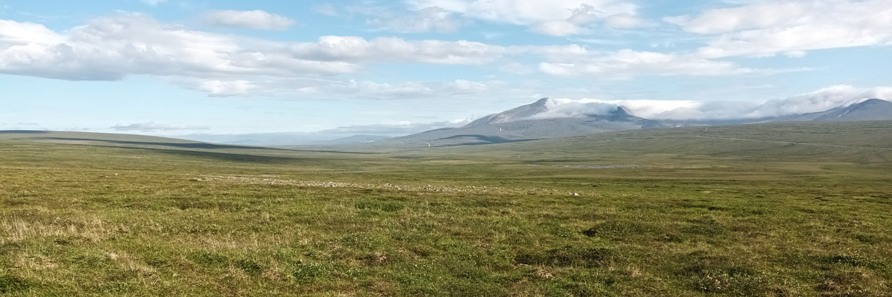 grassy tundra northwest of Nome, Alaska