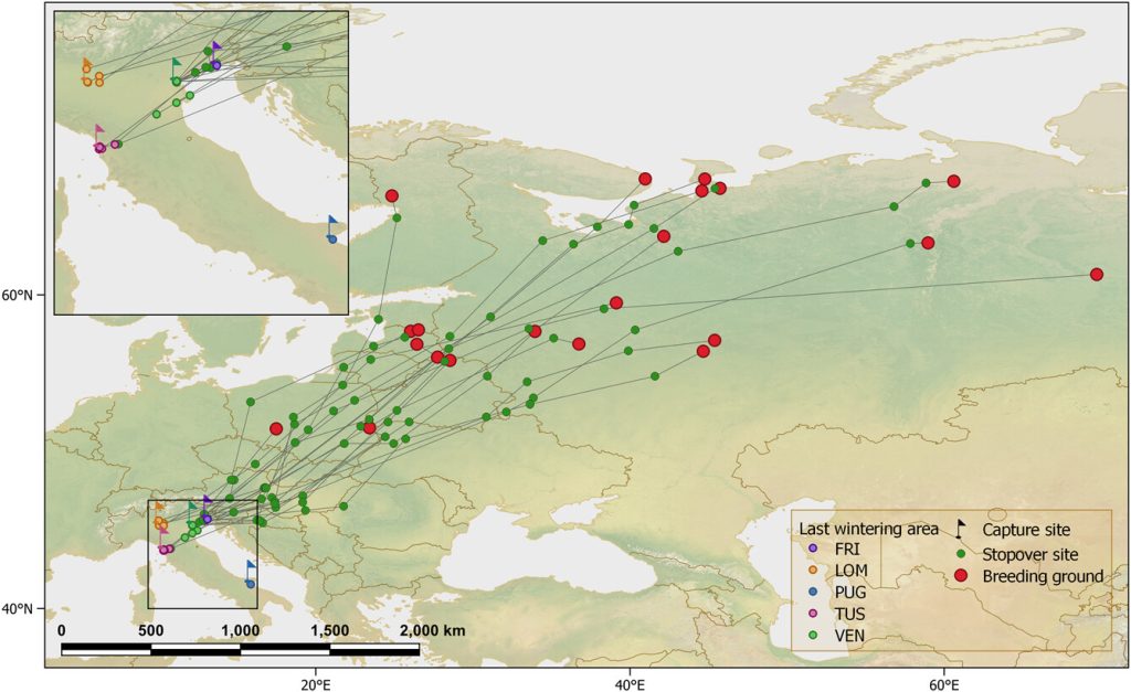 Spring migratory routes of the 30 Eurasian teals tracked between 2013 and 2018