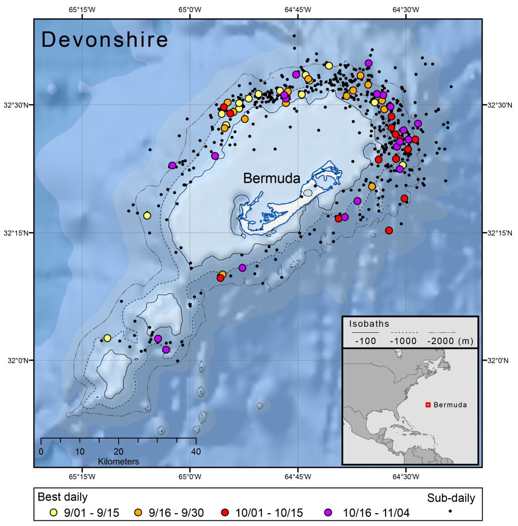 Movements of dolphin “Devonshire” near Bermuda in 2016