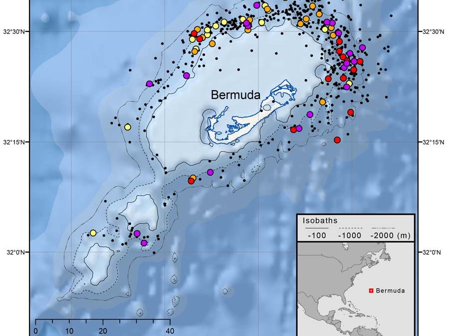 Movements of dolphin “Devonshire” near Bermuda in 2016