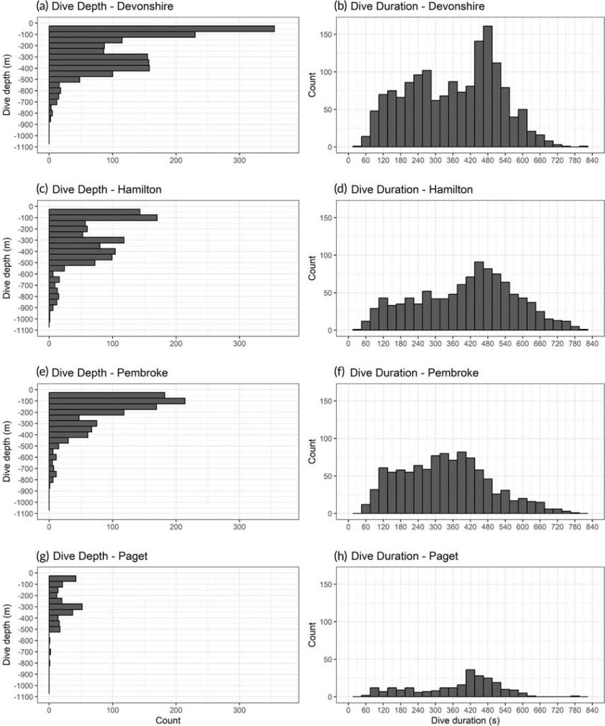 Frequency distribution of dive depths and durations for all tagged dolphins