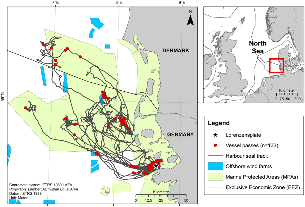 Tracks of the nine equipped harbour seals in the North Sea. The red dots illustrate the locations of high level vessel passes during on-effort periods (133 occurrences). The tagging site (Lorenzensplate) is indicated by a black star. (from [Nachtsheim et al., 2023]).
