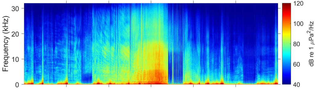 Spectrogram of the power spectral density of the vessel pass with the highest maximum 2 kHz decidecade received level in the study. Yellow-red colours over the whole spectrum indicate loud time periods, while blue-green colours indicate quiet periods. The vessel noise in the recording is interrupted multiple times due to surfacing of the seal (from [Nachtsheim et al., 2023]).