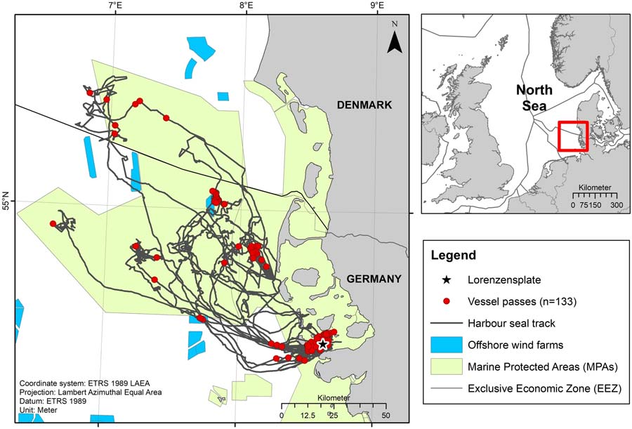 Tracks of the nine equipped harbour seals in the North Sea