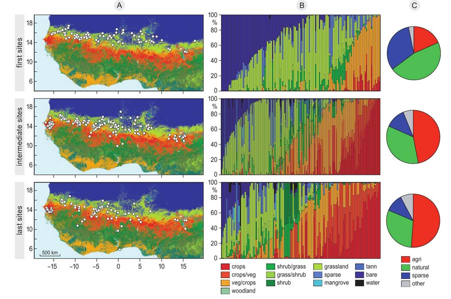 Habitat composition at wintering sites of Montagu's harriers for first, intermediate and last sites