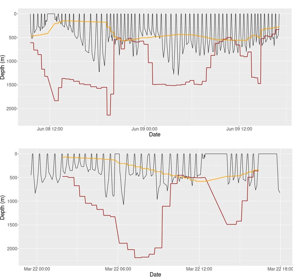 Two examples of seal dive profiles in relation to the bathymetry near the Vanderford Glacier