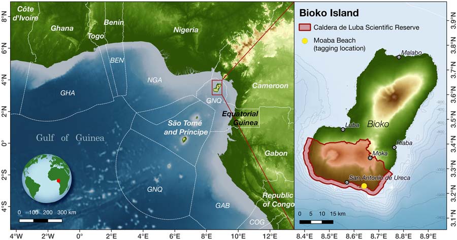 Tagging location of female leatherback turtles from Bioko Island, Equatorial Guinea