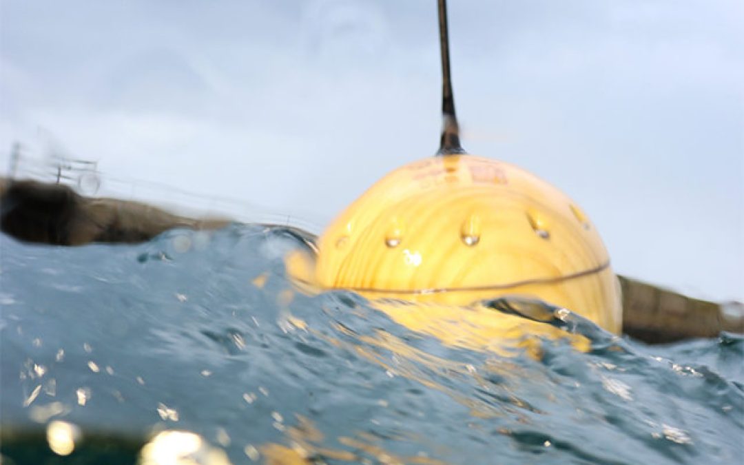 CLS’ Buoyant Innovations: The Wooden Drifters Reshaping Ocean Monitoring