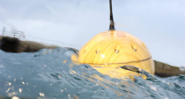 CLS’ Buoyant Innovations: The Wooden Drifters Reshaping Ocean Monitoring