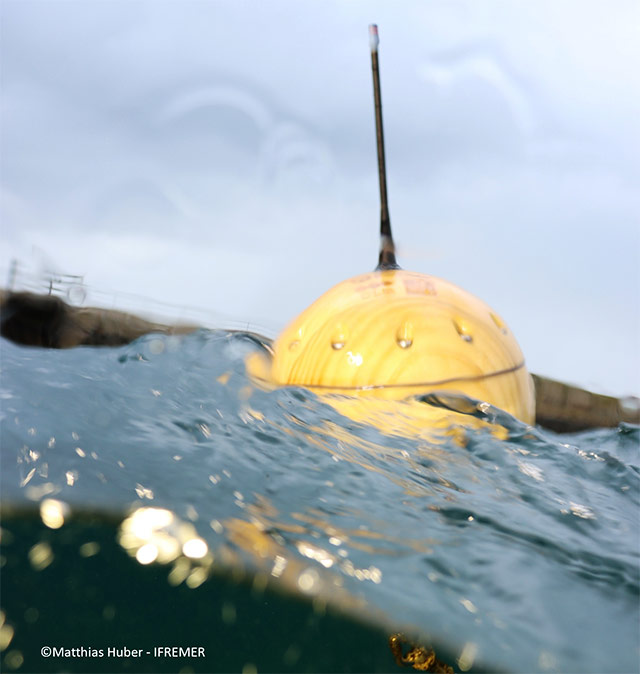 wooden buoy