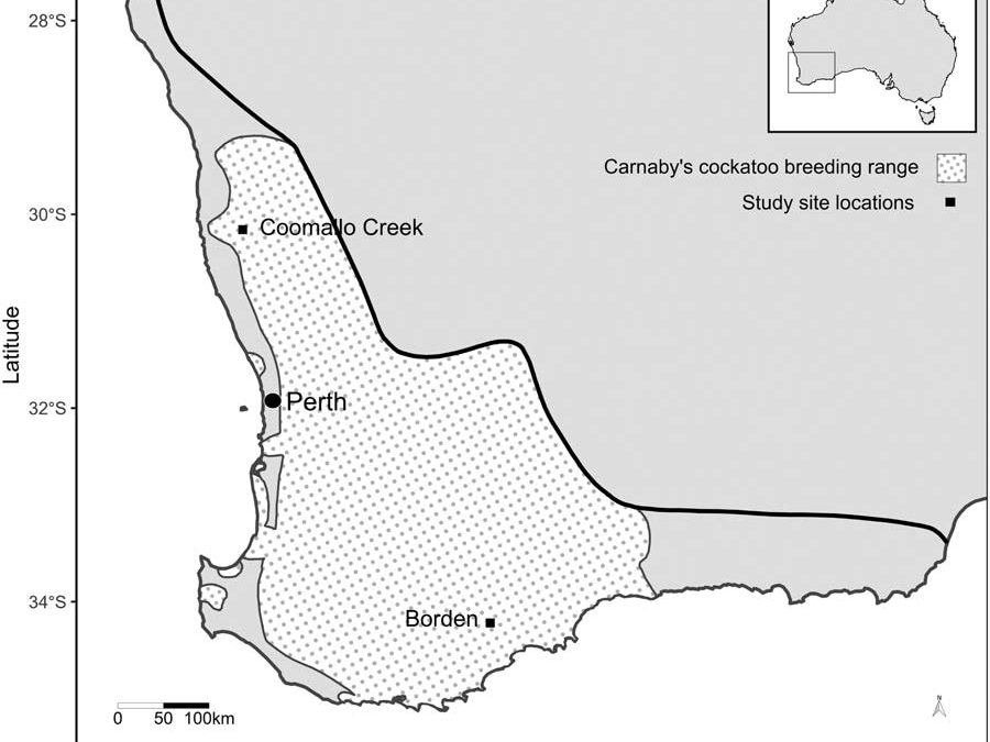 Study site locations of Carnaby’s cockatoos