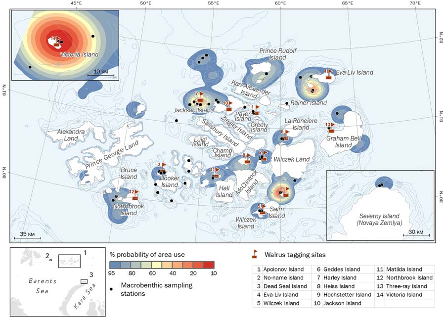 Kernel contours showing probability of area use by walruses