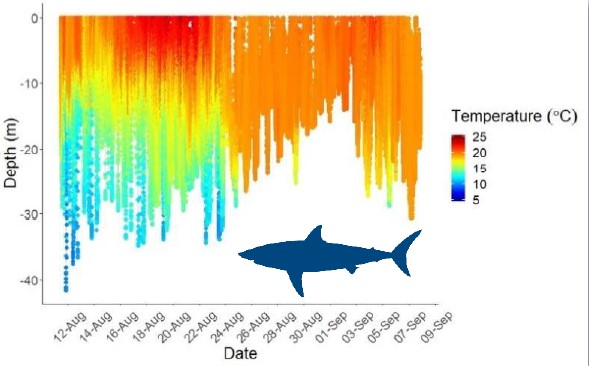 Frontiers in Marine Science - Shaw et al. (2021)