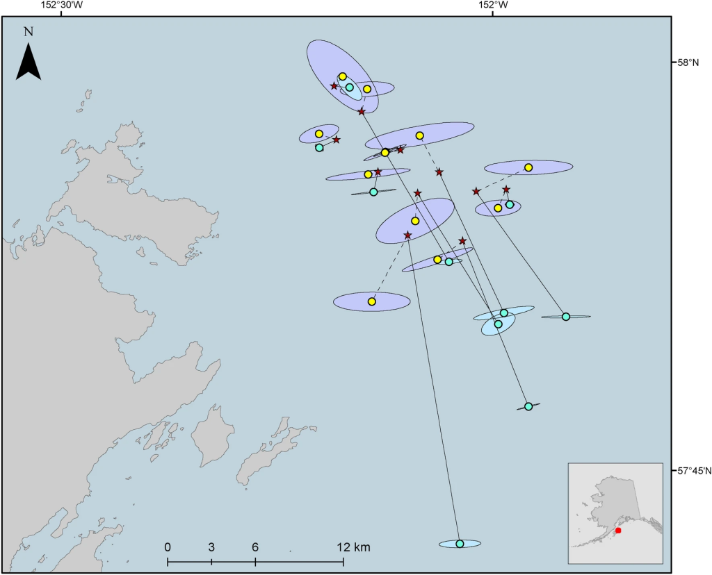 Estimated pop-up location for pop-up tags deployed at fixed positions in Marmot Bay, Alaska during 2022.