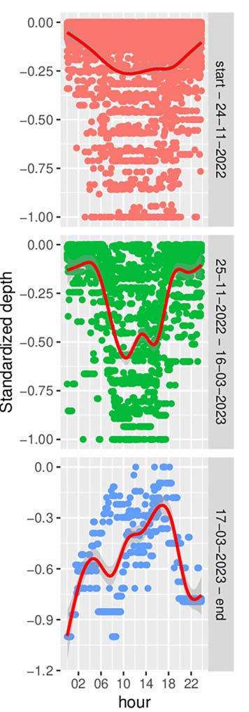 daily standardized depth over the day for the three different time periods of sunfishes in the mediterranean sea