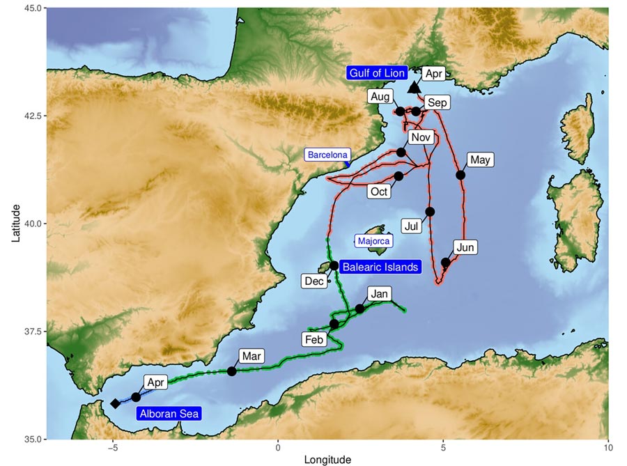 trajectory estimated for a speed prior of 4 km/h. The triangle and diamond identify deployment and pop-off (April 11, 2023) locations, respectively, whereas black points and labels identify the beginning of the different months. The colors on the trajectory identify the three different time periods. (from [Rouyer et al., 2024])