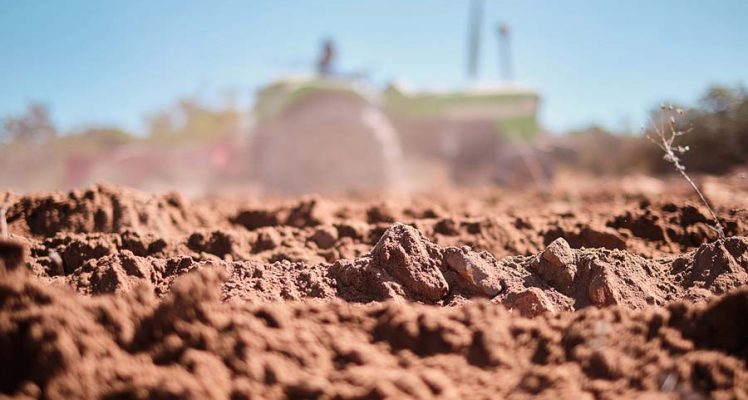 Argos Services and Smart Agriculture: A Solution to South Africa’s Water Crisis