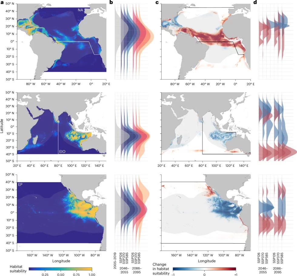 a,b, Regions of high (yellow) and low (blue) habitat suitability for the north Atlantic (NA), east Indian Ocean (EIO) and east Pacific (EP) based on current climatologies (2005–2019) (a) and their sum weighted latitudinal density distributions coloured by decade and scenario (b). c,d, Regions of increase (red), decrease (blue) and no change (white) are indicated for North Atlantic, east Indian Ocean and east Pacific based on 2086–2095 ‘high-emissions’ scenario climatologies (c) and their latitudinal density distributions for cells containing positive (>0.5, red) or negative (