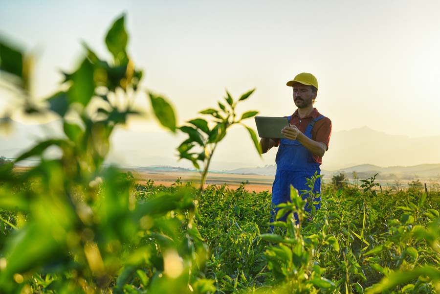smart-agriculture argos smart environment