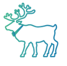 reindeer icon