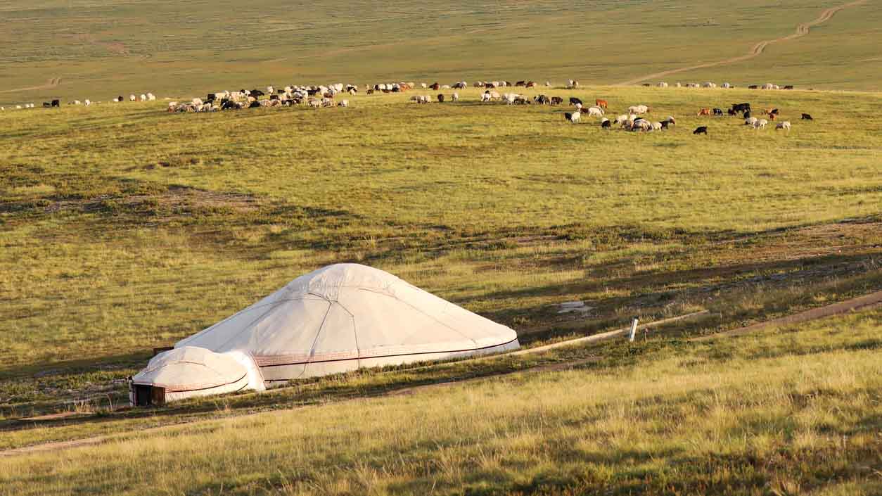 Asia's pastures and climate change