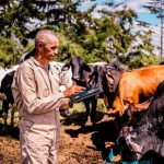 modern herd management software