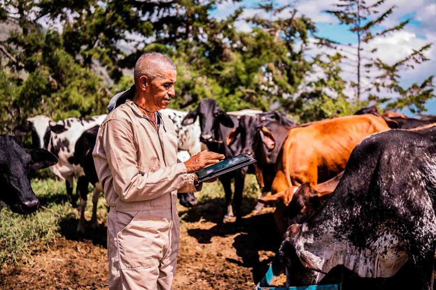 modern herd management software